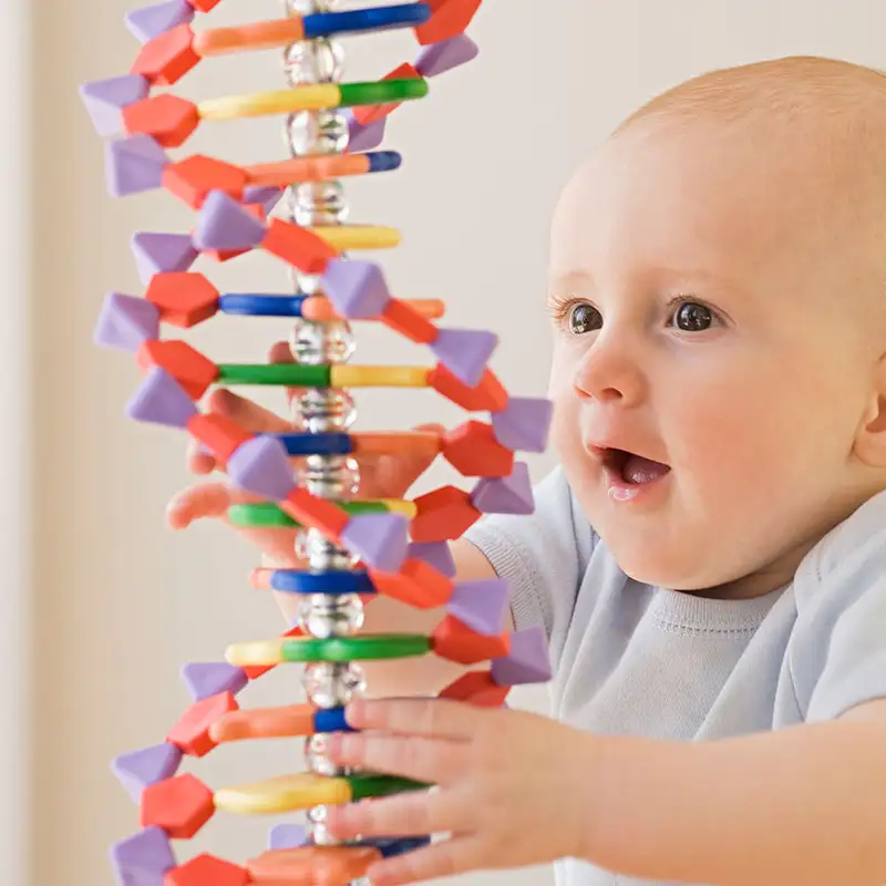 توانایی‌های‌ شناختی موروثی‌اند؟